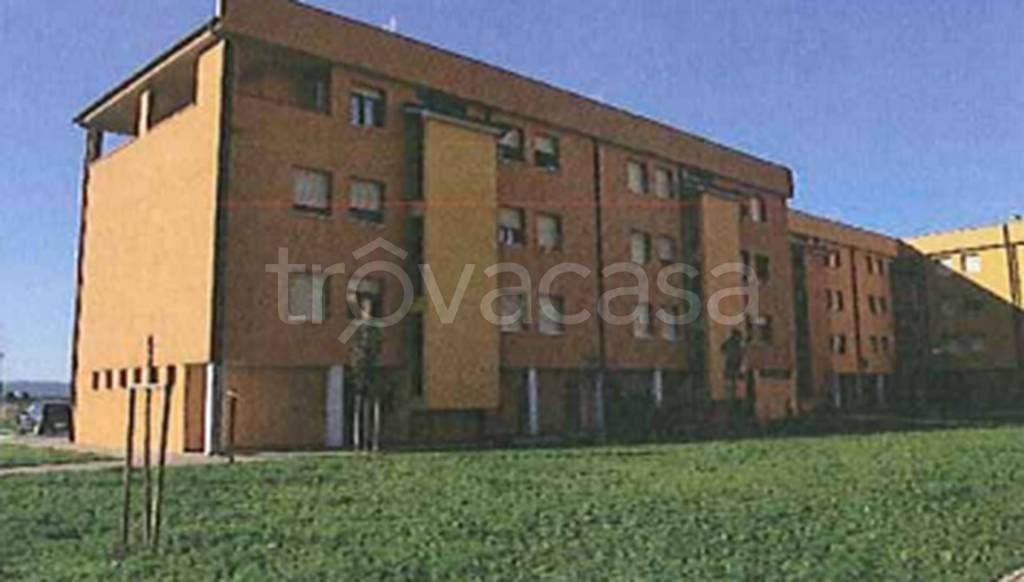 immagine annuncio 3 di 12