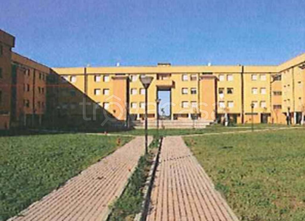 immagine annuncio 4 di 12