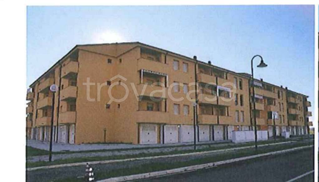 immagine annuncio 5 di 12