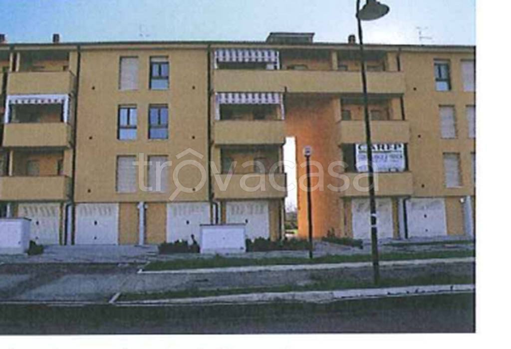 immagine annuncio 6 di 12