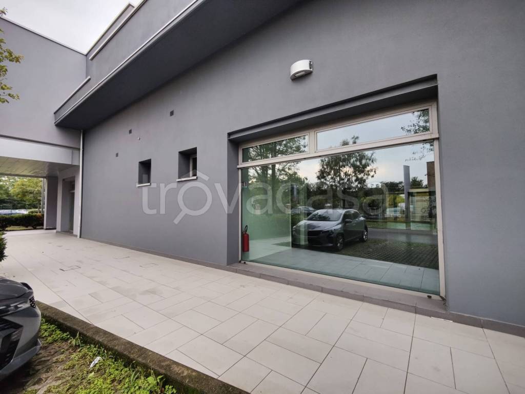 immagine annuncio 5 di 10