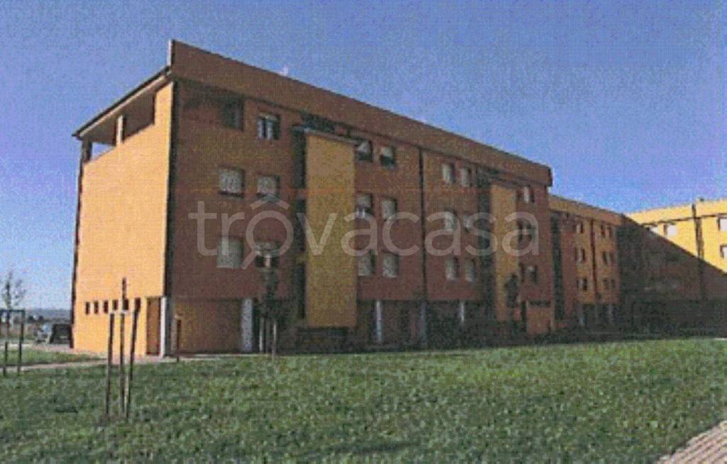 immagine annuncio 8 di 12