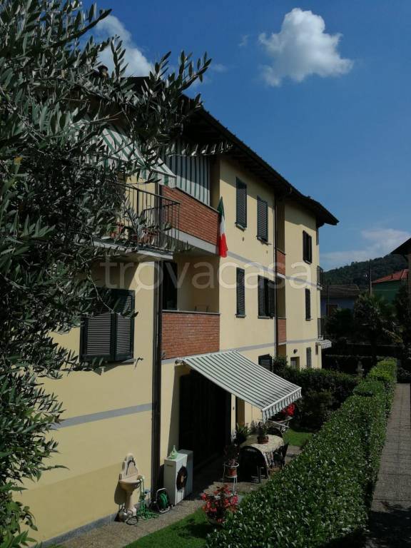 immagine annuncio 11 di 12