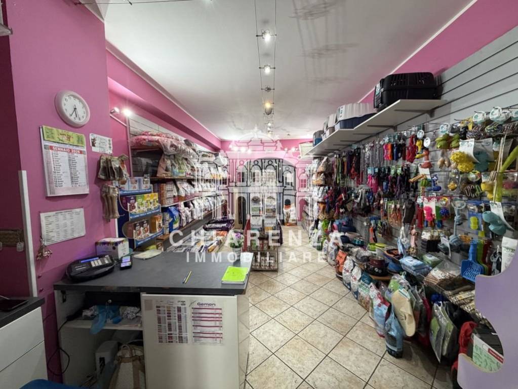 immagine annuncio 2 di 7