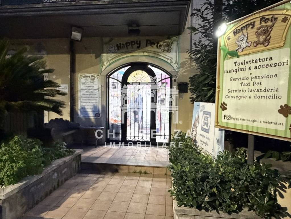 immagine annuncio 6 di 7