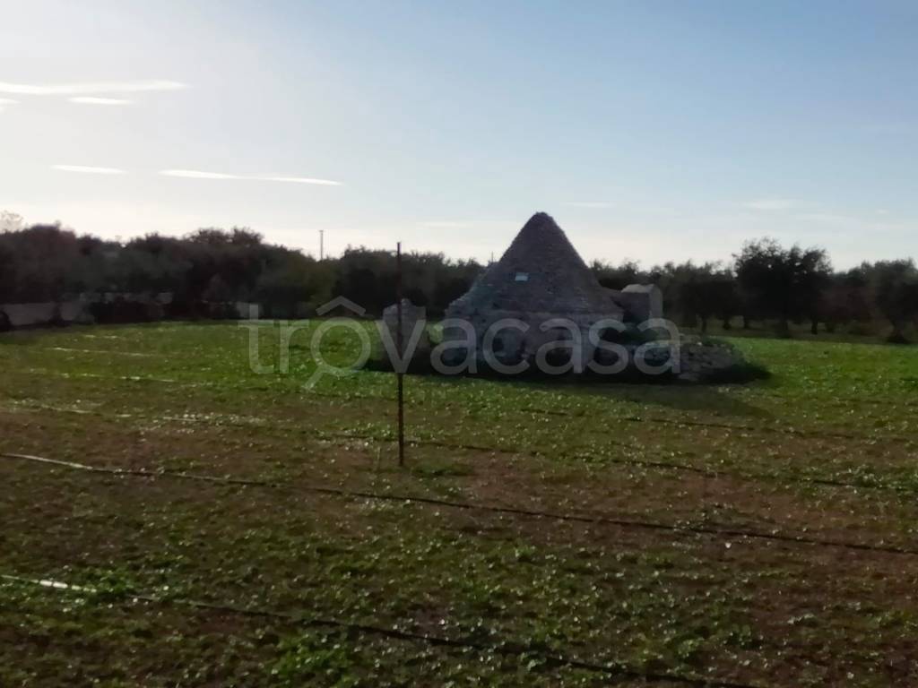 immagine annuncio 3 di 14