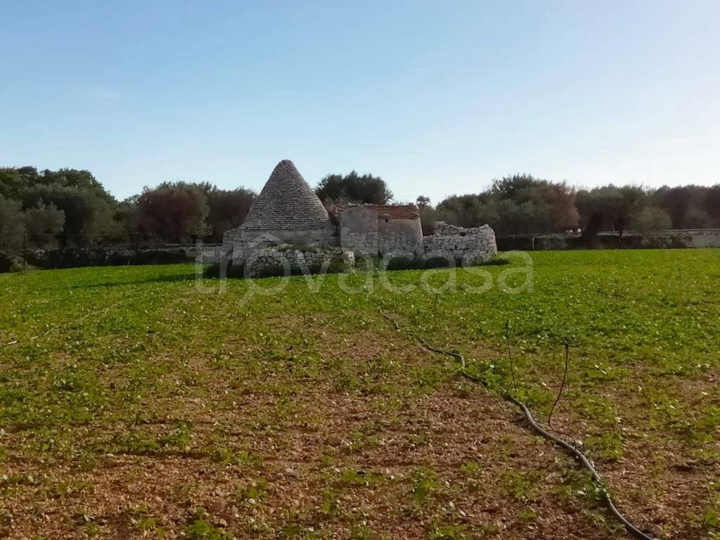 immagine annuncio 4 di 14