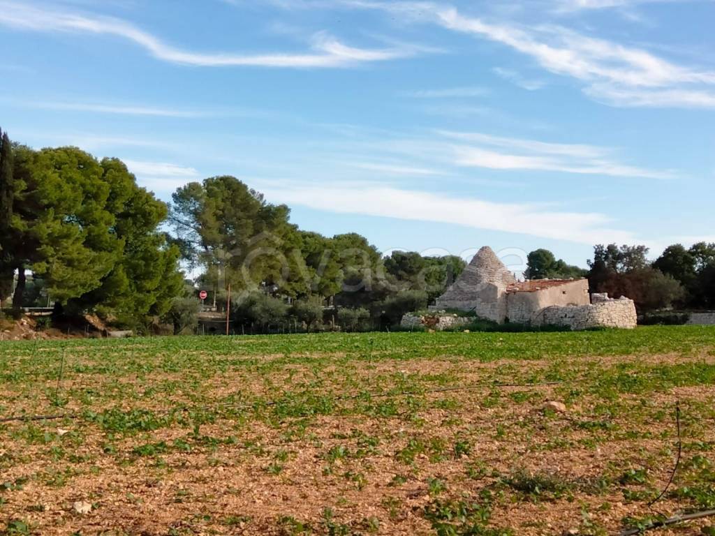 immagine annuncio 11 di 14