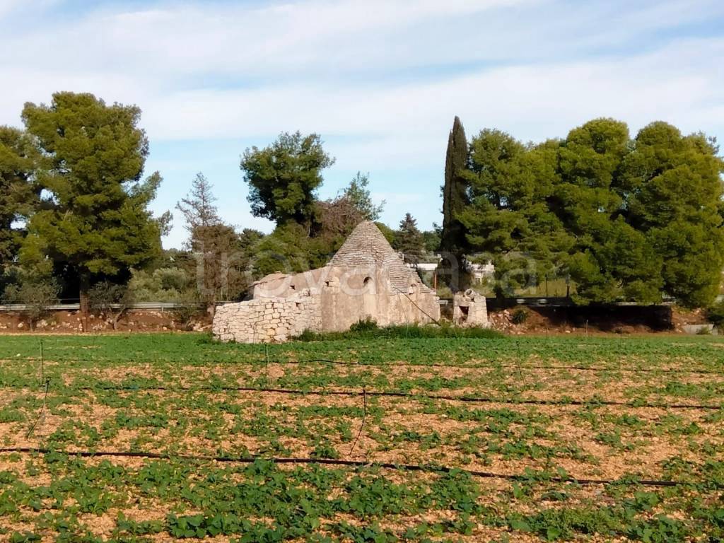 immagine annuncio 12 di 14