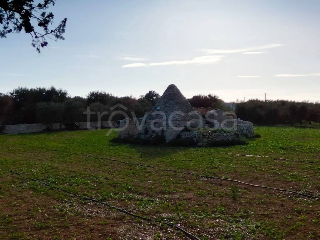 immagine annuncio 13 di 14