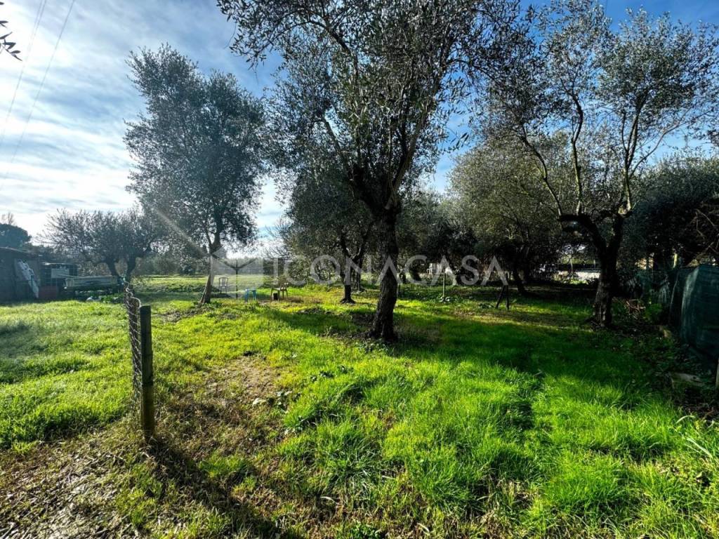 immagine annuncio 7 di 10