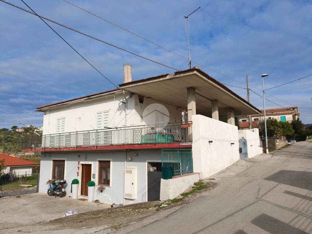 immagine annuncio 1 di 14