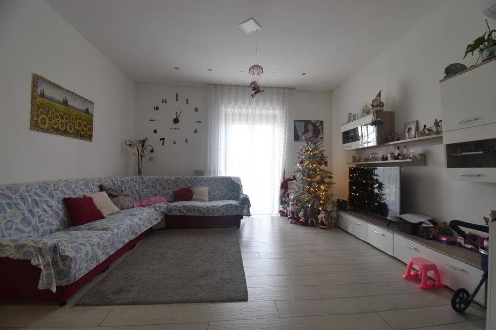 immagine annuncio 4 di 14