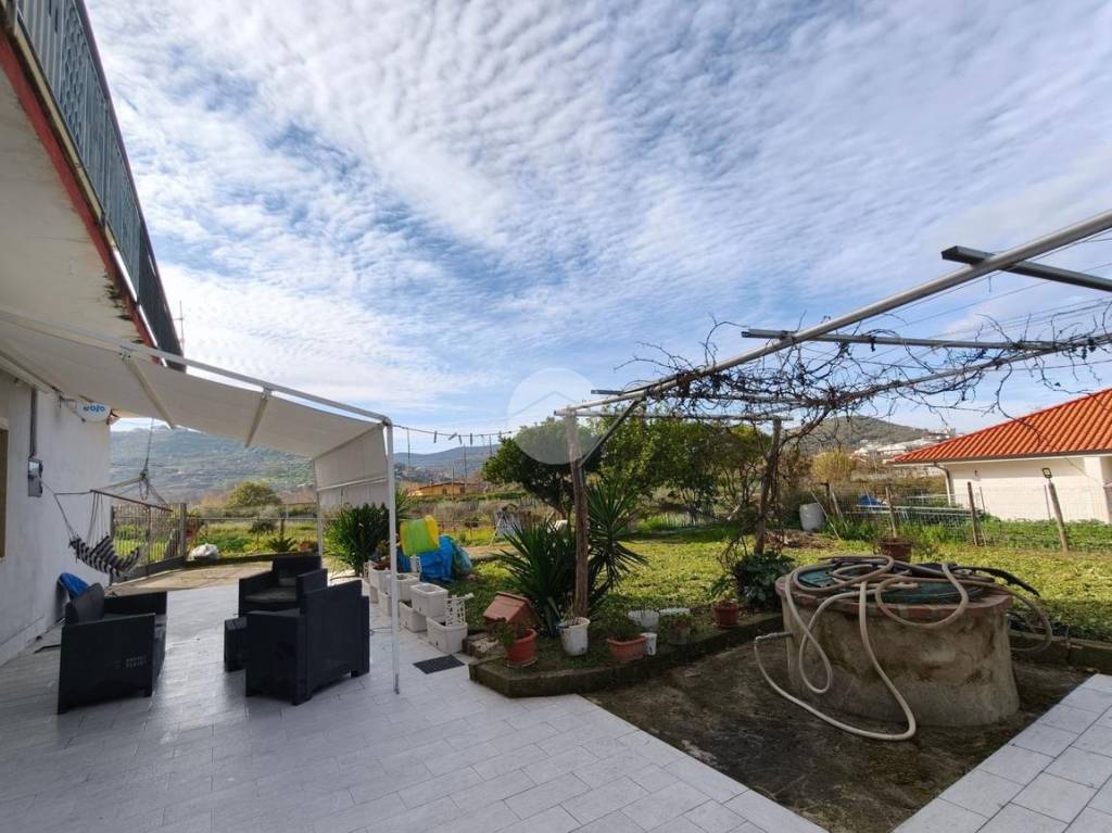 immagine annuncio 6 di 14