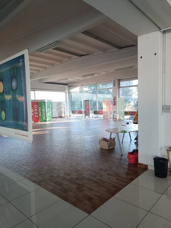 immagine annuncio 1 di 12