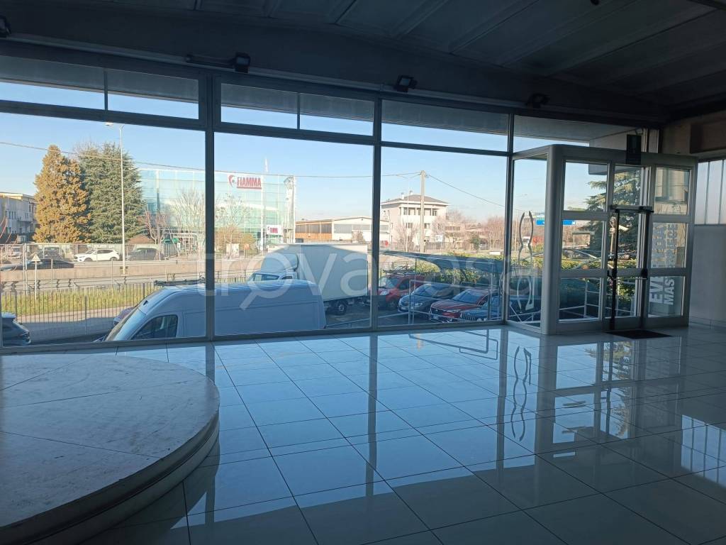 immagine annuncio 3 di 12