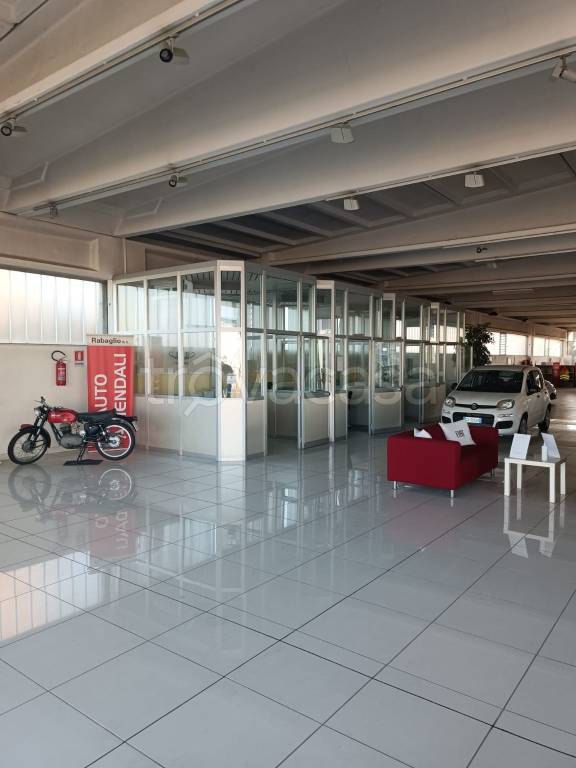 immagine annuncio 5 di 12