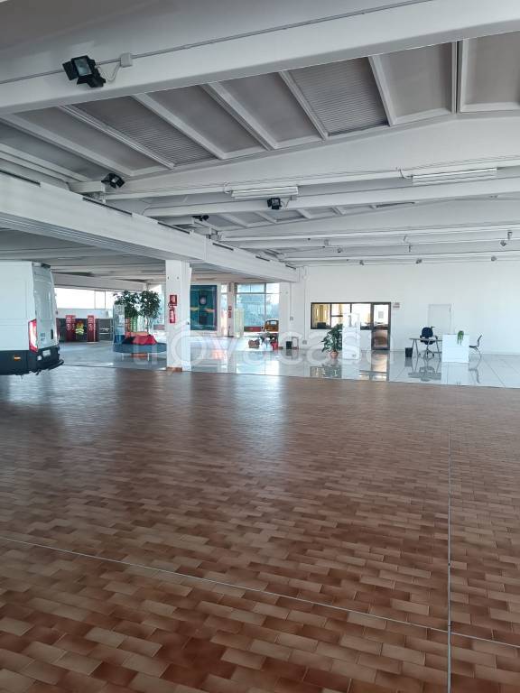 immagine annuncio 6 di 12