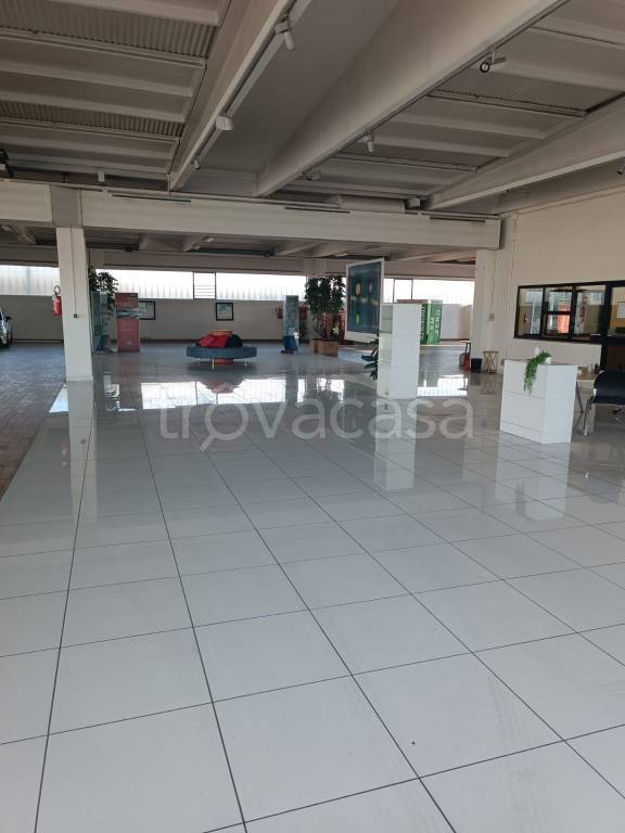 immagine annuncio 7 di 12