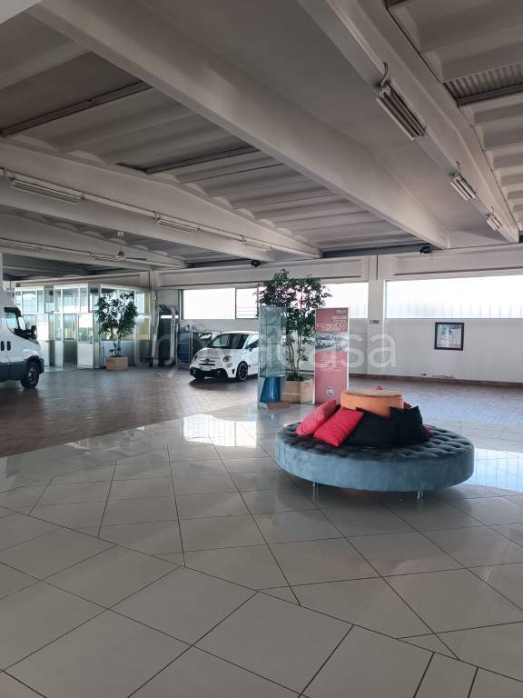 immagine annuncio 8 di 12