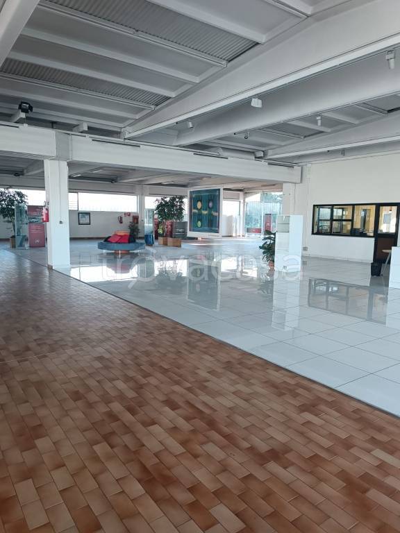 immagine annuncio 11 di 12