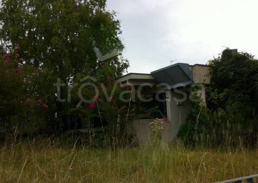 immagine annuncio 5 di 8