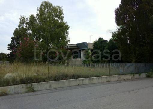 immagine annuncio 6 di 8