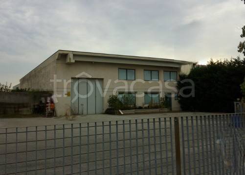 immagine annuncio 1 di 8