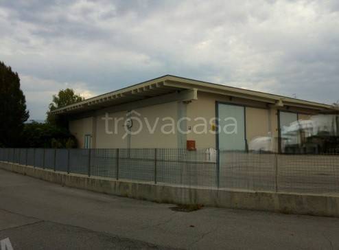 immagine annuncio 3 di 8