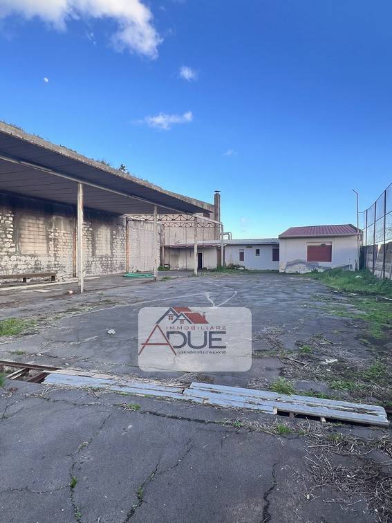 immagine annuncio 5 di 7