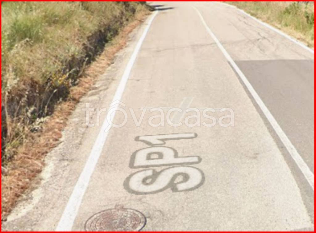 immagine annuncio 9 di 12