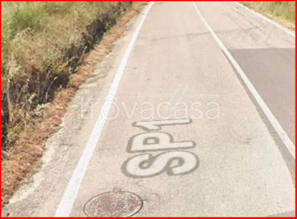 immagine annuncio 10 di 12