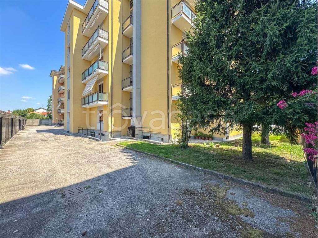 immagine annuncio 12 di 14