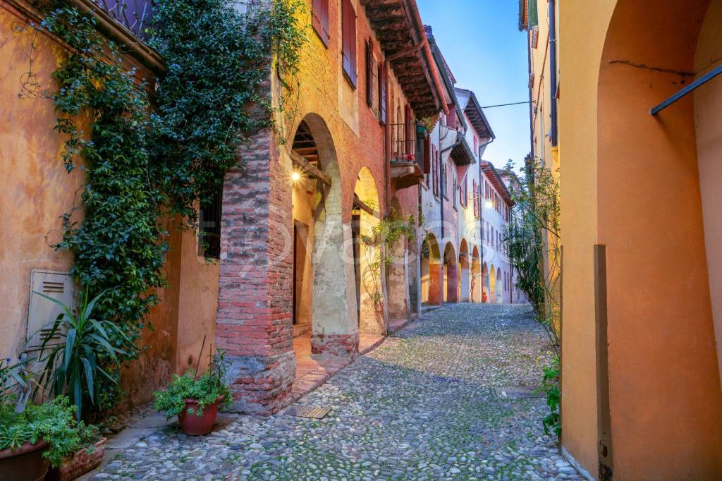 immagine annuncio 12 di 14