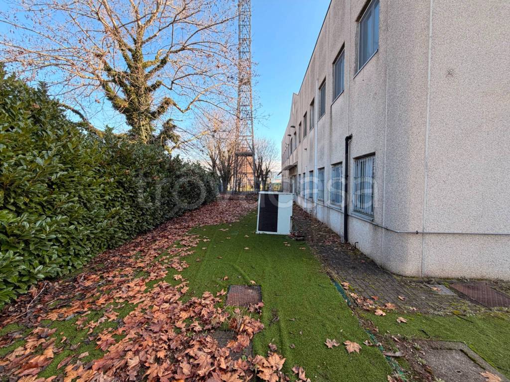 immagine annuncio 12 di 15