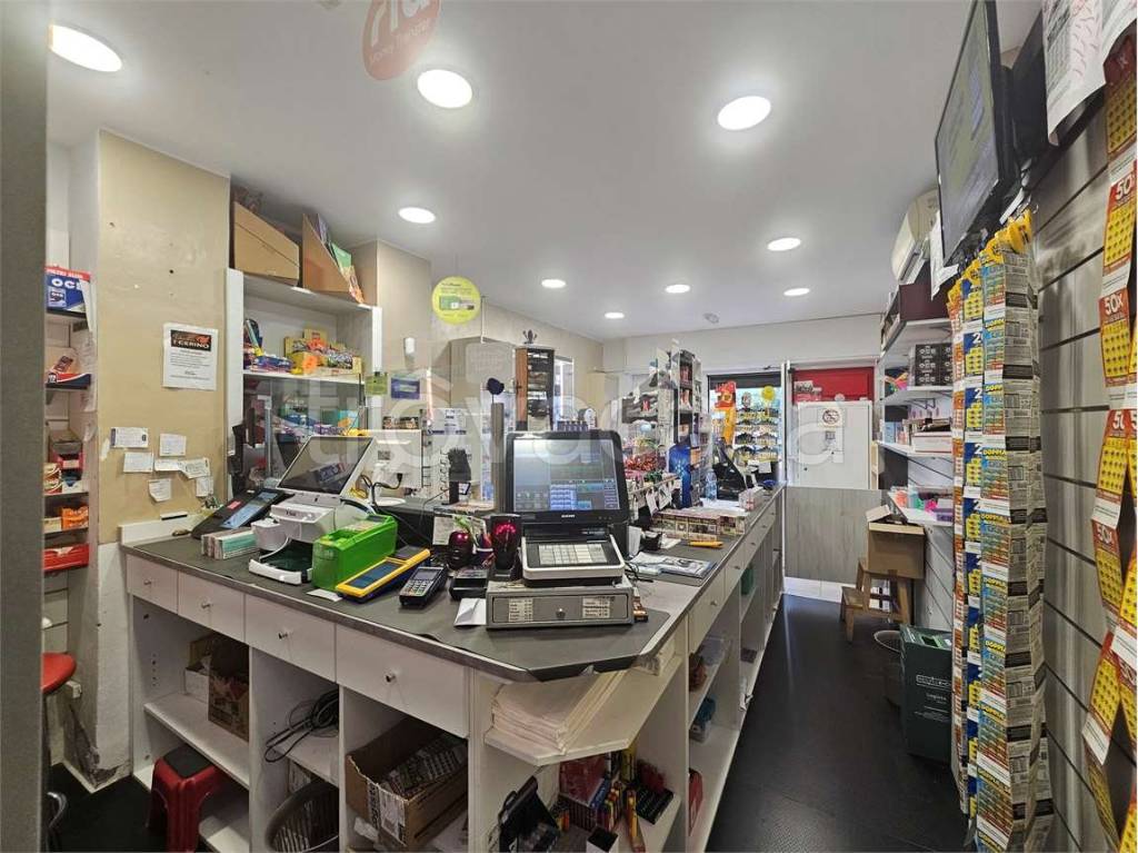 immagine annuncio 2 di 12