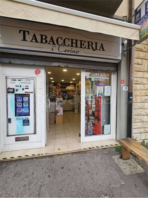 immagine annuncio 3 di 12