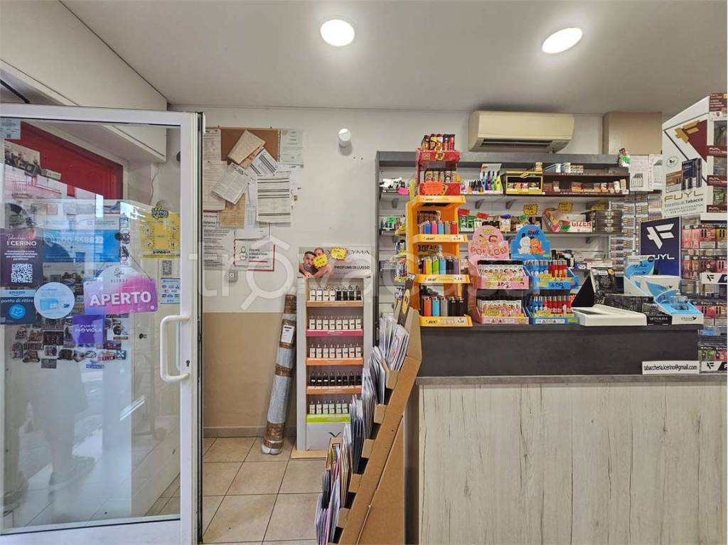 immagine annuncio 6 di 12