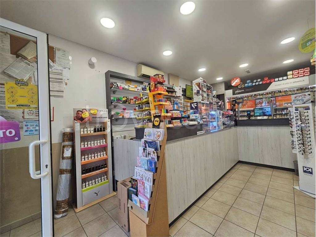 immagine annuncio 7 di 12