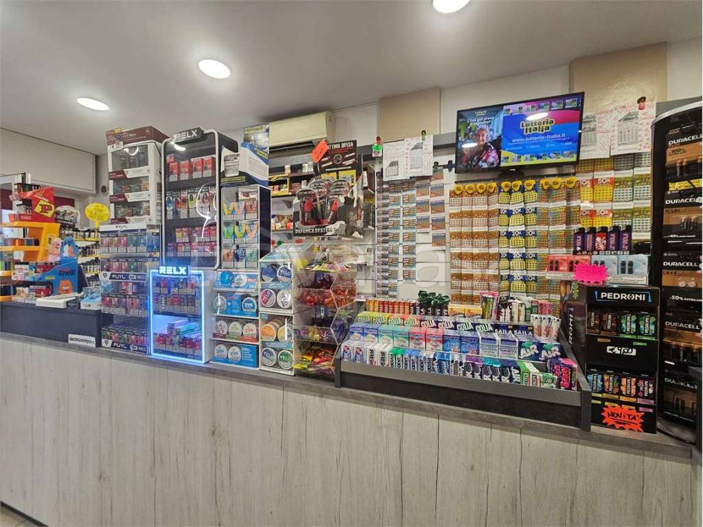 immagine annuncio 10 di 12