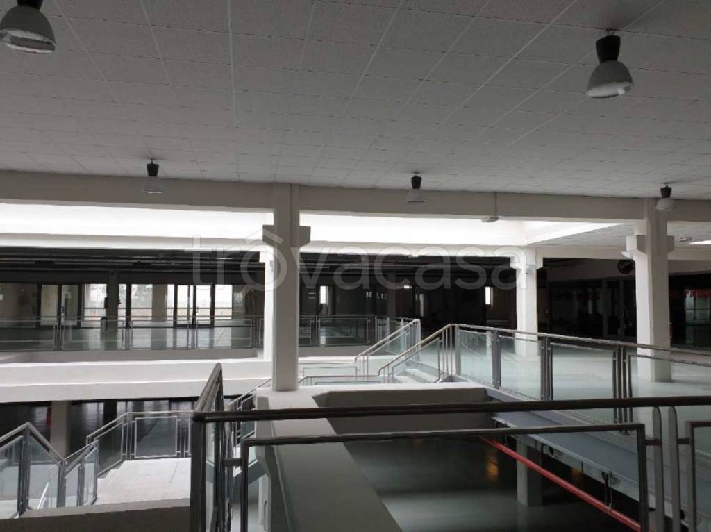 immagine annuncio 7 di 11