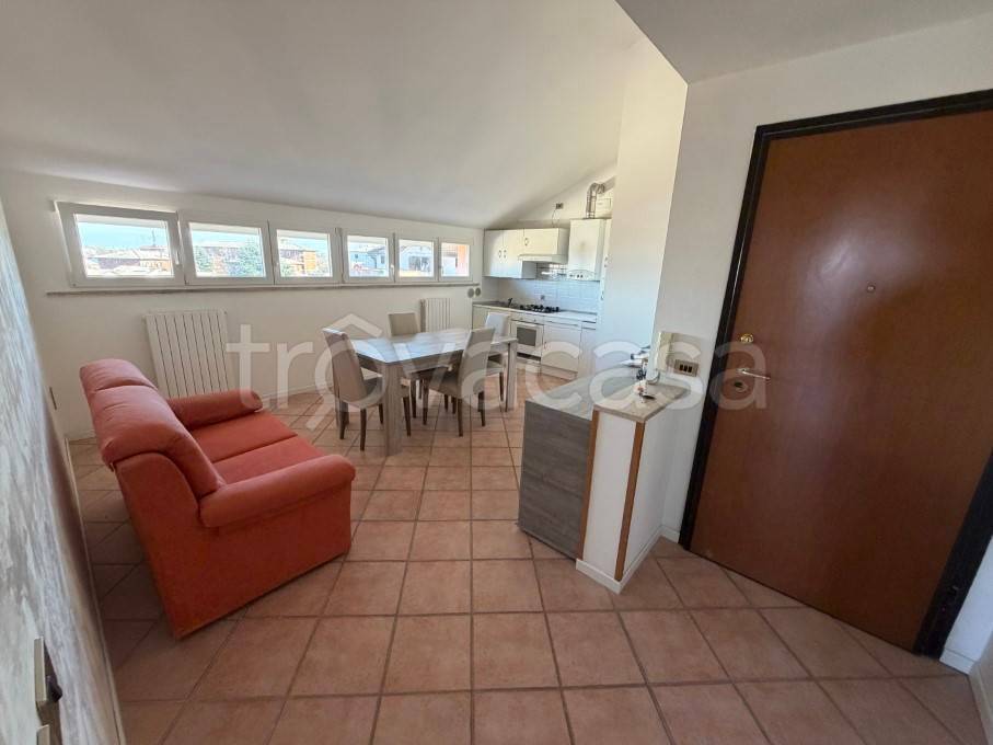 immagine annuncio 3 di 14