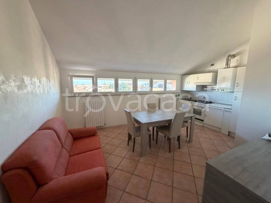 immagine annuncio 1 di 14