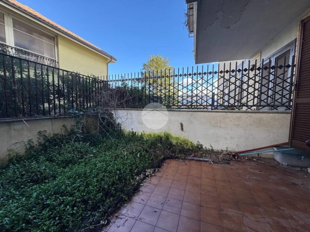 immagine annuncio 7 di 11