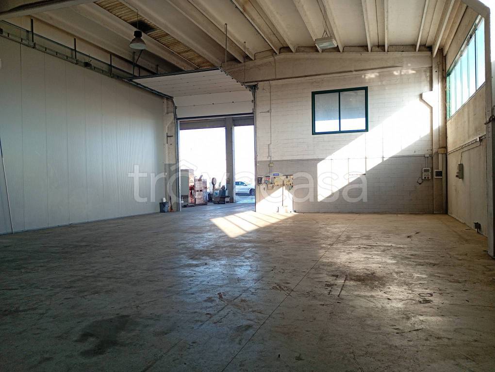 immagine annuncio 1 di 6