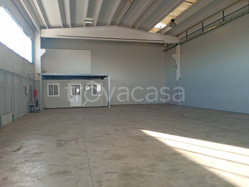 immagine annuncio 2 di 6