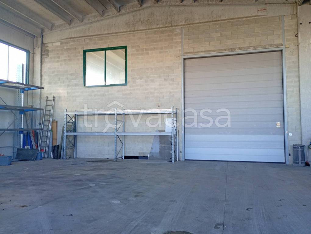 immagine annuncio 3 di 6