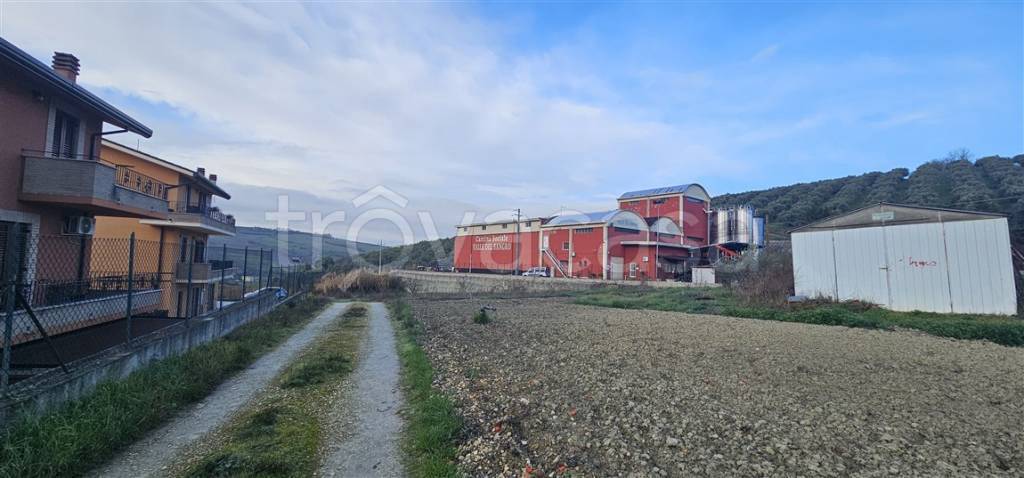 immagine annuncio 3 di 13