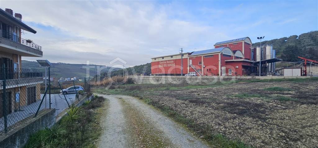 immagine annuncio 6 di 13