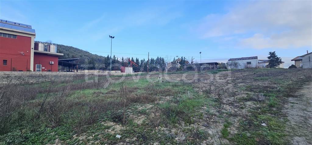 immagine annuncio 7 di 13